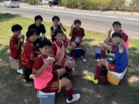 2026年最新情報