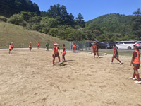 2026年最新情報