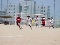 2026年最新情報
