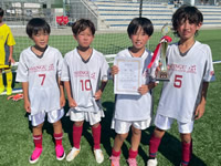 2026年最新情報