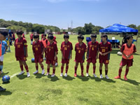 2026年最新情報