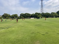 2026年最新情報