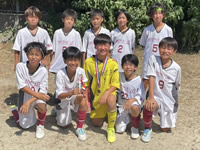 2026年最新情報