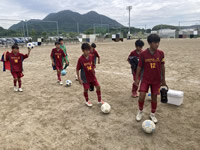 2026年最新情報