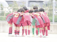 2026年最新情報