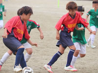 2026年最新情報