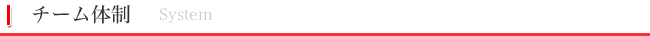 チーム体制